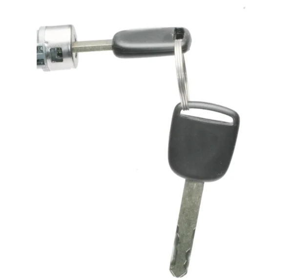 Cilindro de Cerradura de Puerta Trasera Standard TL305